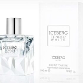 Iceberg tendre blanc