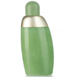 كاشاريل عدن