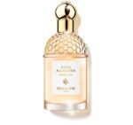 Allegoria Pamplelune