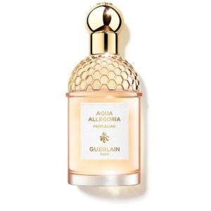 Allegoria Pamplelune