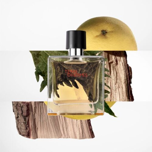 terre hermes parfum