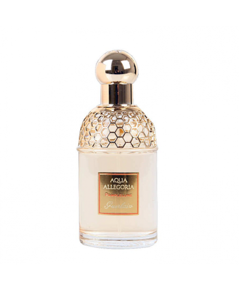 Aqua Allegoria Pamplelune