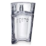 Emanuel Ungaro Ungaro Man Eau de Toilette