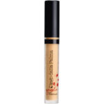 Diego Dalla Palma Geisha Lift Concealer
