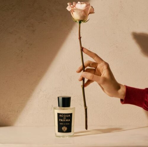 Parma Light of Rosa Spot