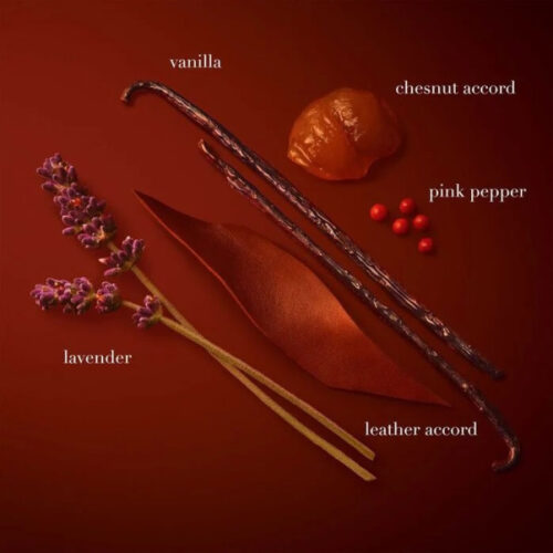 Stronger With You Parfum-Spot