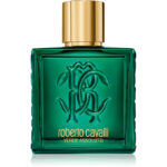 Cavalli Uomo Verde Assoluto