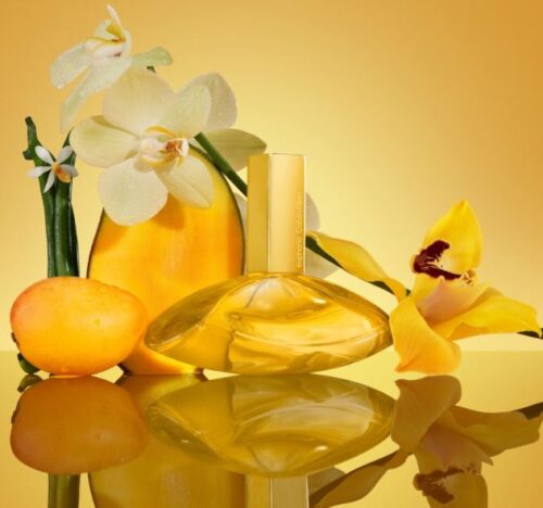 Euphoria Solar Elixir Parfum