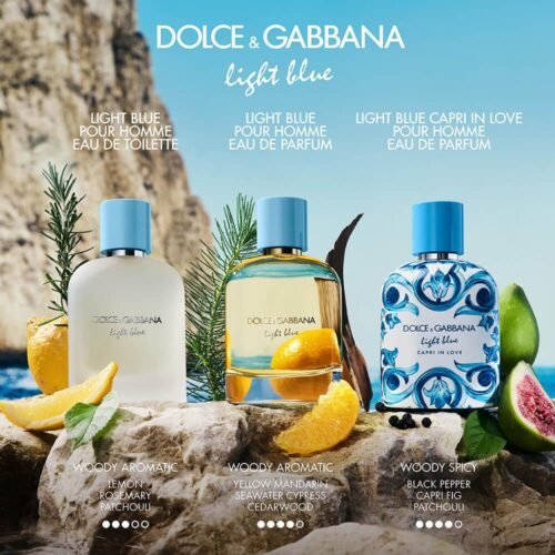 d&g light spot
